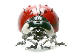 Just another WordPress site