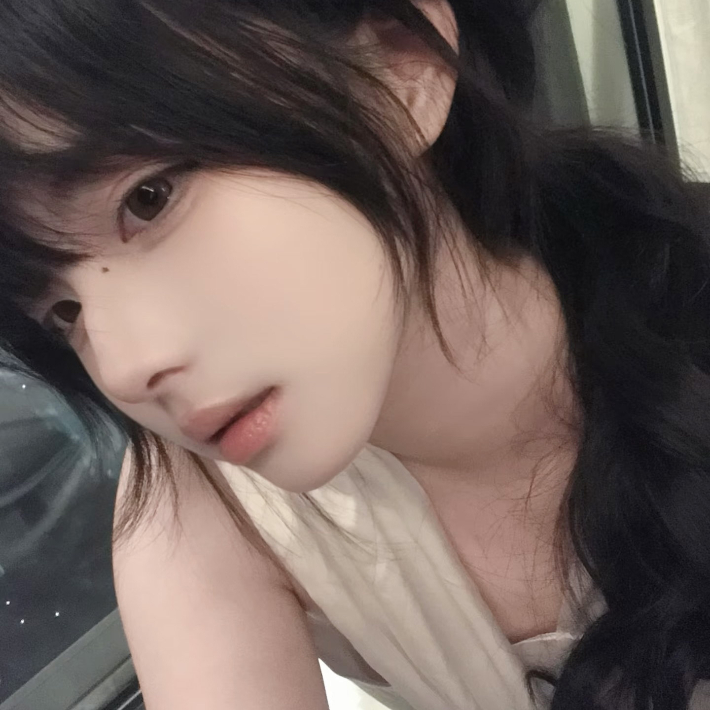 King Charles Cavalier